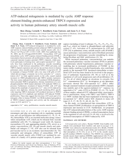 ATP-induced mitogenesis is mediated by cyclic AMP response