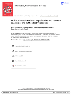 Multitudinous identities: a qualitative and network