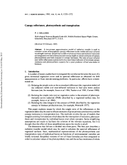 Canopy reflectance, photosynthesis and transpiration