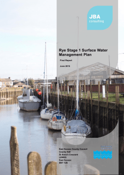 Rye SWMP Stage 1 Technical Report