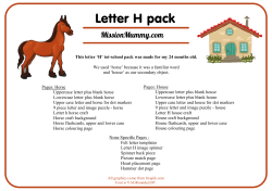 H pack.craft - Mission: Mummy