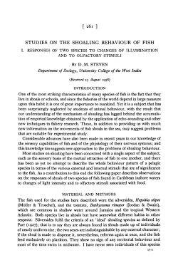 studies on the shoaling behaviour of fish