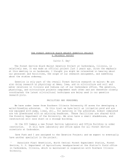 The Forest Service Black Walnut Genetics Project a Progress Report