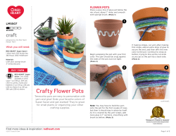 Crafty Flower Pots