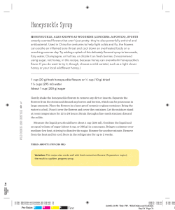 Honeysuckle Syrup Honey