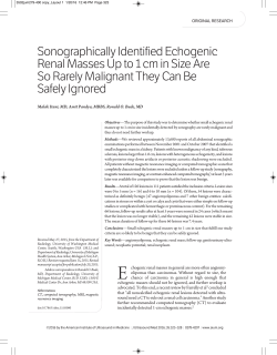 Sonographically Identified Echogenic Renal Masses Up to 1 cm in