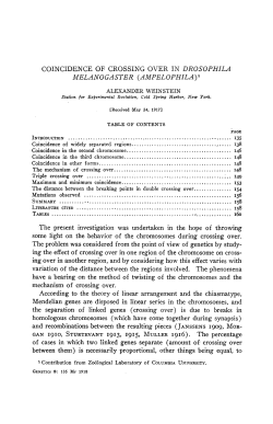 of crossing over in drosophila
