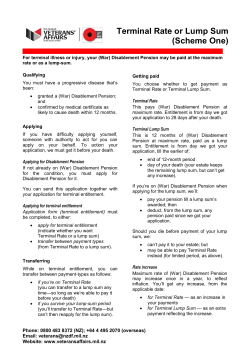 Terminal Rate or Lump Sum (Scheme One)