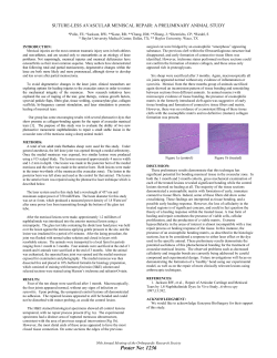 suture-less avascular meniscal repair: a preliminary animal study