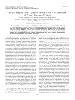 Herpes Simplex Virus Tegument Protein VP16 Is a Component of