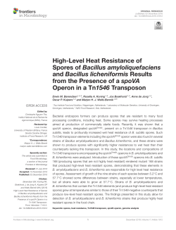 High-Level Heat Resistance of Spores of Bacillus amyloliquefaciens