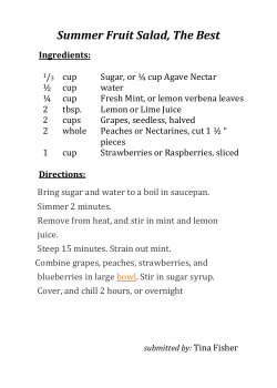 Summer Fruit Salad, The Best