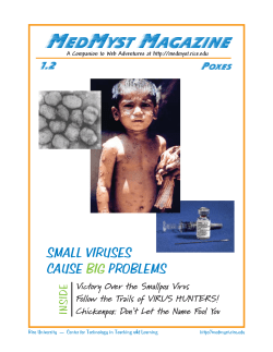 MedMyst Magazine - Web Adventures