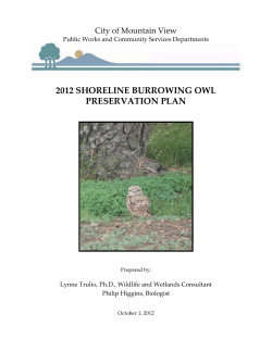 2012 shoreline burrowing owl preservation plan