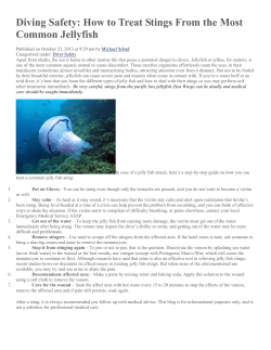 Diving Safety: How to Treat Stings From the