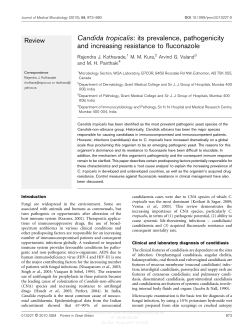 Candida tropicalis - Journal of Medical Microbiology