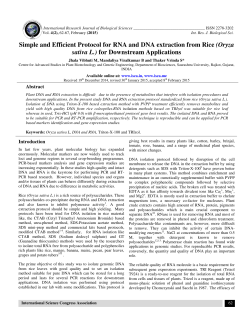 Simple and Efficient Protocol for RNA and DNA extraction from Rice