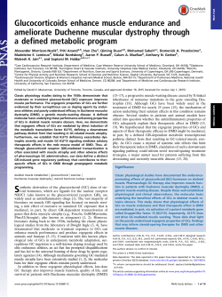 Glucocorticoids enhance muscle endurance and ameliorate