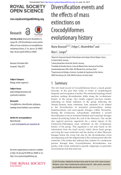 Diversification events and the effects of mass extinctions on