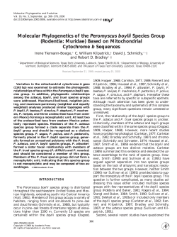 Molecular phylogenetics of the Peromyscus boylii