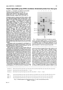(HMG) non-histone chromosomal proteins from wheat germ