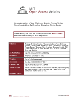 Characterization of Iron Dinitrosyl Species Formed in the Reaction of