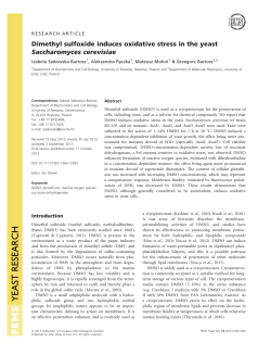 Dimethyl sulfoxide induces oxidative stress in the yeast