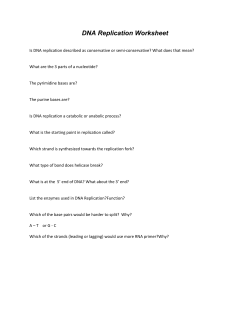 DNA Replication Worksheet(2).