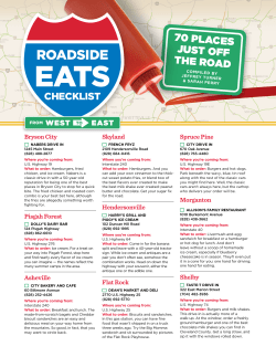 ROADSIDE - French Fryz