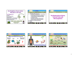 1 Our Neighbors Down Under: Microbes in the Soil The Relationship