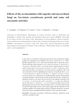 Effects of the co-inoculation with saprobe and mycorrhizal