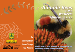Bumble Bees of the Western United States