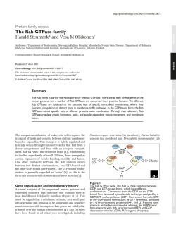 The Rab GTPase family | Genome Biology | Full Text