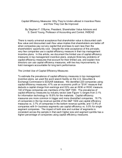 Capital Efficiency Measures - Shareholder Value Advisors