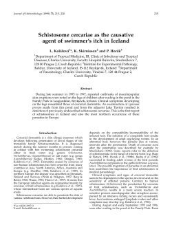Schistosome cercariae as the causative agent of swimmer`s