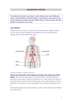 The kidneys maintain our body`s water balance by