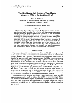 The Stability and Cell Content of Penicillinase Messenger RNA in