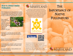 THE IMPORTANCE OF NATIVE POLLINATORS