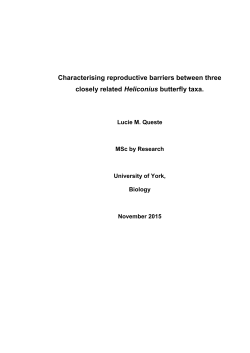 Characterising reproductive barriers between three closely related