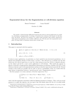 Exponential decay for the fragmentation or cell