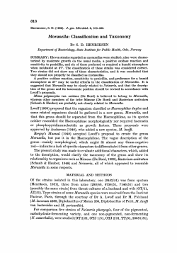 Moraxella: Classification and Taxonomy