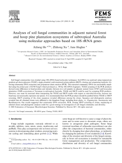 Analyses of soil fungal communities in adjacent natural forest and