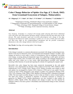 Color Change Behavior of Spider Gea Spp. (C L Koch, 1843) from