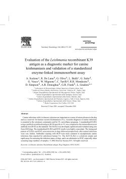 Evaluation of the Leishmania recombinant K39 antigen as a