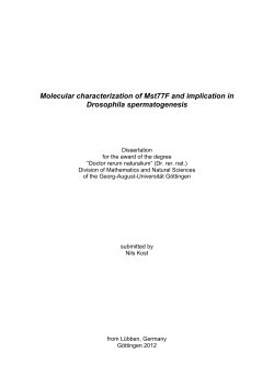 Molecular characterization of Mst77F and implication in