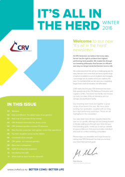 IT`S ALL IN THE HERD