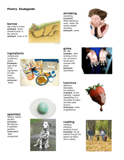 Poetry Genre Word Wizard Studyguide