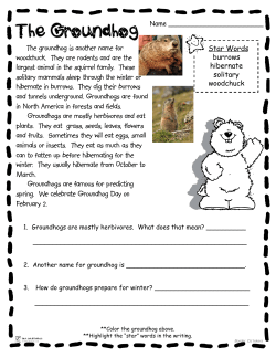 The groundhog is another name for woodchuck. They are rodents