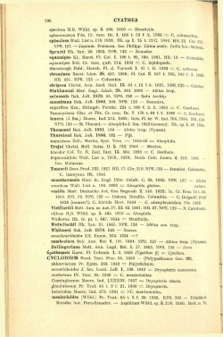 196 CYATHEA speciosa H.B. Willd. sp. 5. 490. 1810 = Hemitelia
