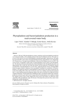 Phytoplankton and bacterioplankton production in a reed